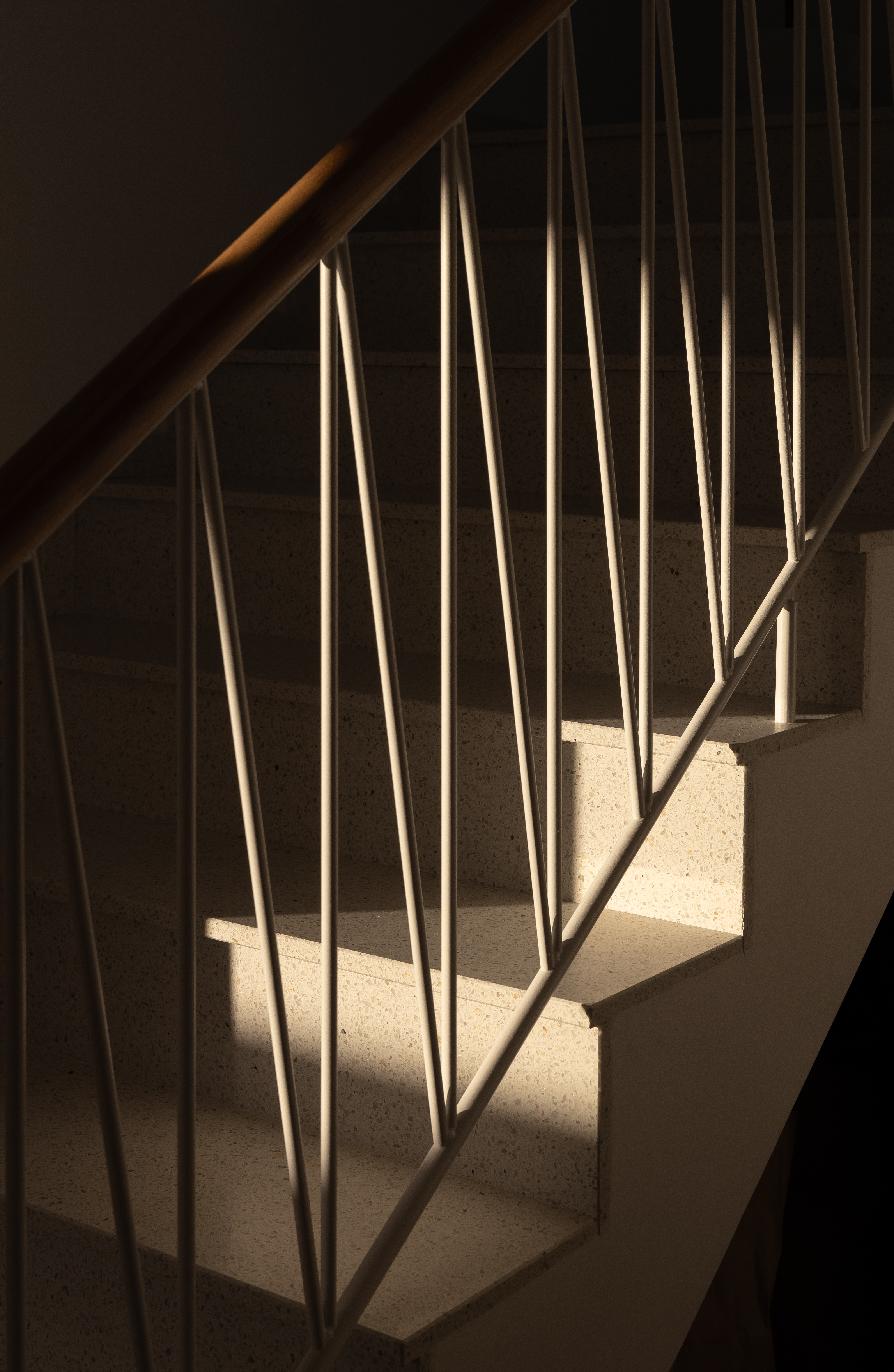 Stefana interior 1